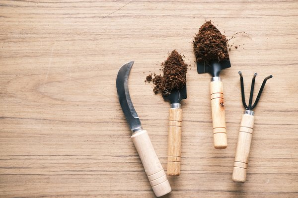 Les outils indispensables pour un jardin potager