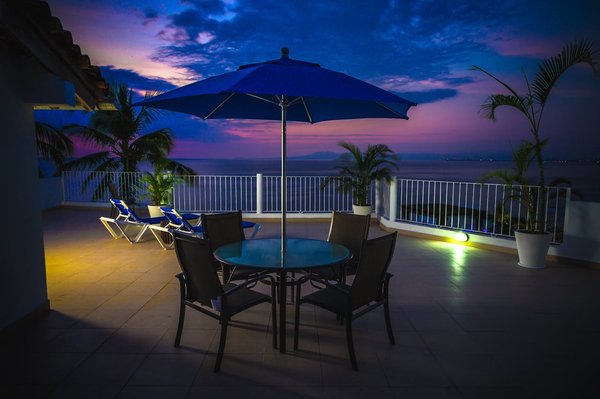 Les meilleures plantes pour créer un brise-vent sur votre terrasse