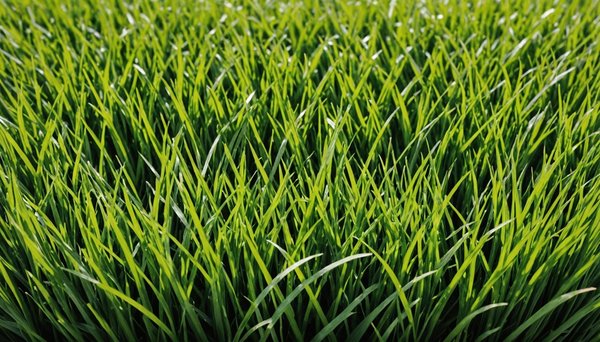 Gazon synthétique : explorez les options et économisez malin